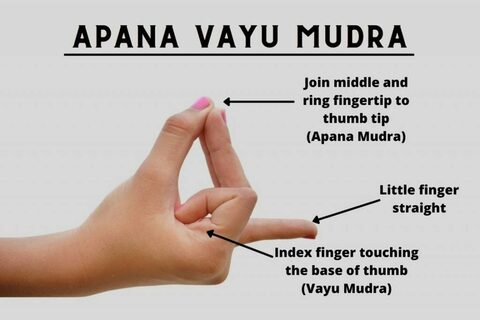 yogacareforyou